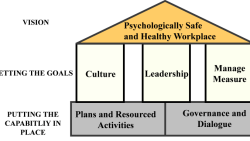 Mental Health Frameworks – From Intent to Action